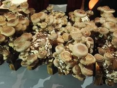 -大喜牛鲜牛肉火锅(世纪金源店)