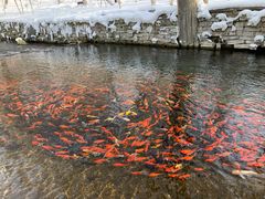 -水磨沟公园