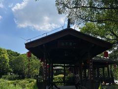 -江心屿景区