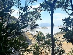 -花岙岛