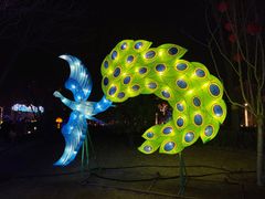 -南宫五洲植物乐园