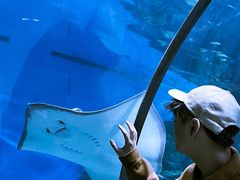 -福州罗源湾海洋世界旅游区