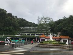 -深圳仙湖植物园-停车场