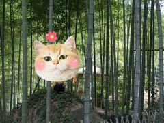 -山沟沟景区