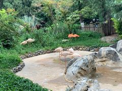 -昆明动物园
