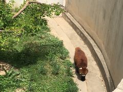 -青藏高原野生动物园