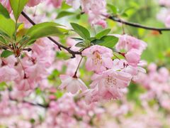 -白塘生态植物园