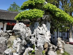 -水绘园