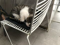 -UNI UNI(环亚凯瑟琳店)