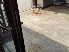 -苏城小院·园林精致苏州菜(斜塘老街店)