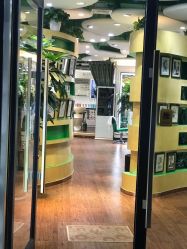 -艺米阳光Hair Salon