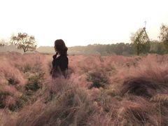 -艾溪湖湿地公园