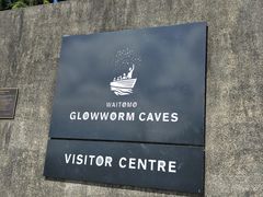 -怀托摩萤火虫洞