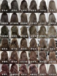 -GANO HAIR 