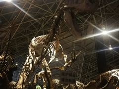 -世界恐龙谷景区