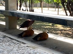 -森林公园(尖草坪区)