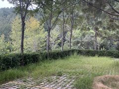 -北京十三陵国家森林公园蟒山景区