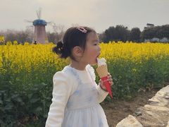 -武汉紫薇都市田园