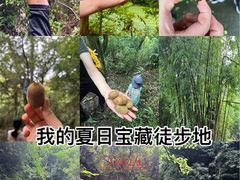 -龙窝子