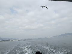 -海驴岛(荣成市)