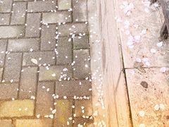 -OT另茶(上海幸福里店)