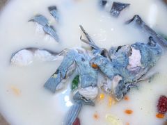 蒸汽长江黑洄鱼-滇小鱼·云南野生菌火锅(上杭路店)