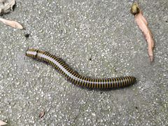 -碓臼峪自然风景区