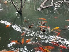 -南宫五洲植物乐园