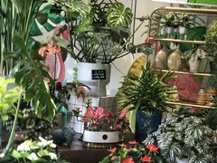 -弗劳尔花艺坊(龙涛店)