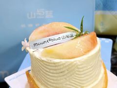-山与蓝·轻糖鲜果蛋糕(勒泰店)
