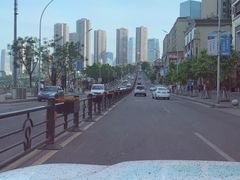 -铁山坪森林公园