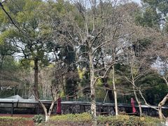 -杭州香格里拉饭店