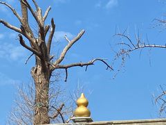 -上海财神庙