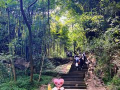 -凤栖山