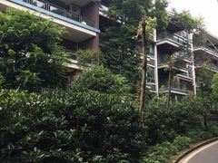 -南山植物园