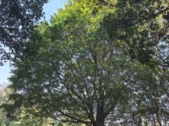 -白云山风景名胜区