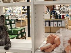 -美罗百货(观前店)
