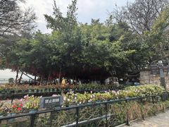 -胡里山炮台