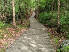 -汉中石门栈道景区