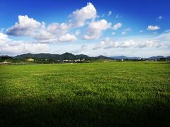 -光明小镇欢乐田园