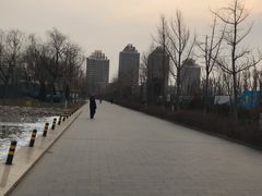 -廊坊文化艺术中心