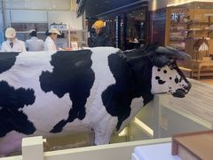 -红星前进面包牛奶公司(君太店)