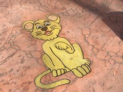 -秦皇岛野生动物园