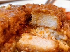 -伽喱博士 Dr.CURRY咖喱饭(太阳宫咖喱店)