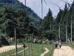 -齐岳山