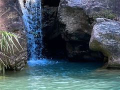 -南海湾森林生态园