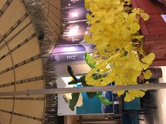 -觅山云南菜(泊富ICITY店)