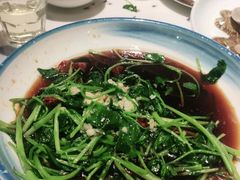 -松沪名灶·豆浆鱼头·新上海菜(飞航吾悦广场店)