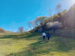 -大水川景区