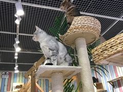 -小时光咖啡馆(开森度假森林店)